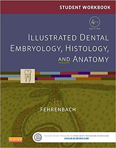Student Workbook for Illustrated Dental Embryology, Histology and Anatomy (4th Edition) - Orginal Pdf